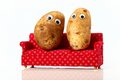 Slow Cooker Potato