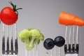 Portion Size