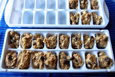 icecubetray