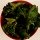 Kale Chips