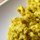 Tofu Scramble vs. Scrambled Eggs
