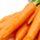 Carrot Recipe Swap