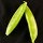 Sugar Snap Peas and Cheese