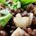 Easy Warm Lentil Salad